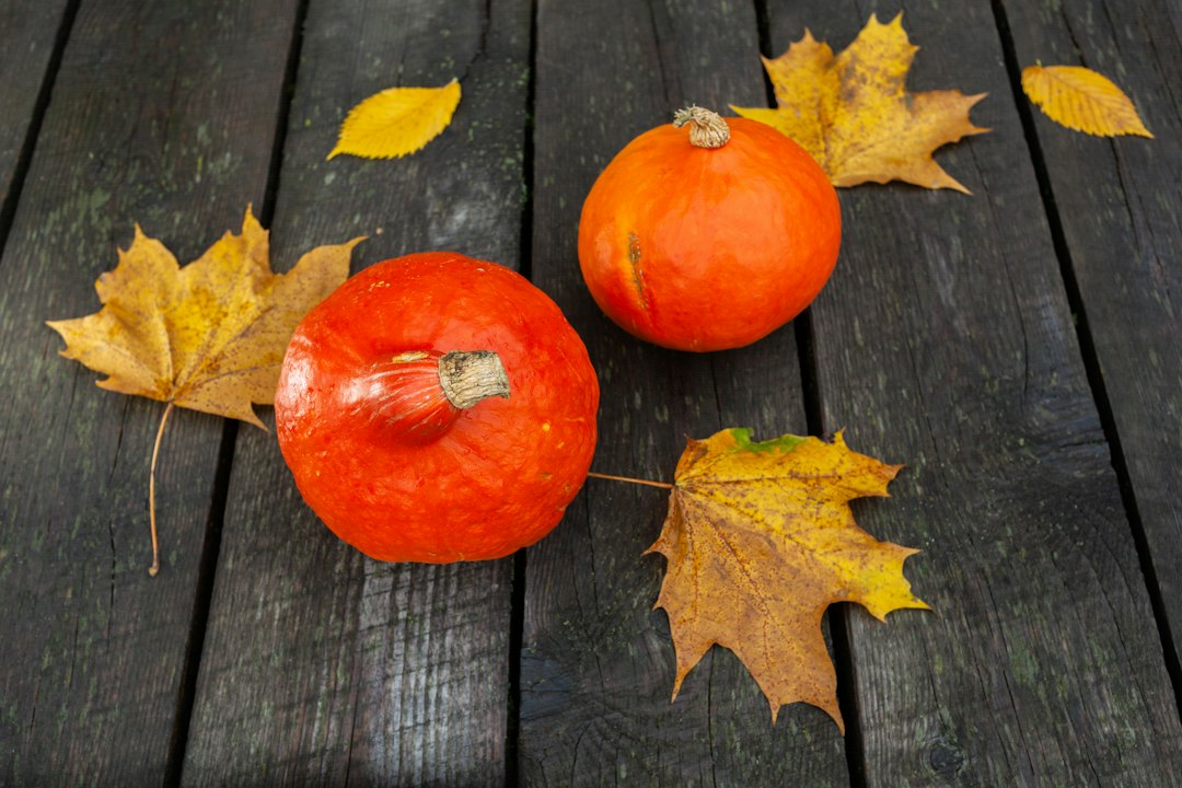 喪中にハロウィンはしていいか？子どもの仮装・学校行事・お菓子配りの判断と忌中との違いを解説